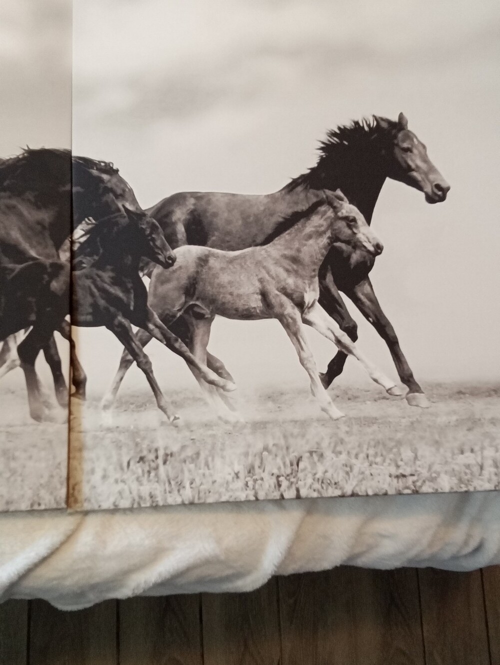 #1058 Panel Horse Picture